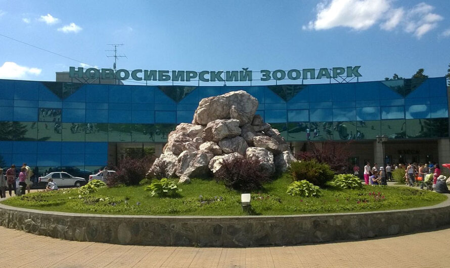 Бесплатное посещение стартовало в Новосибирском зоопарке для пенсионеров и инвалидов