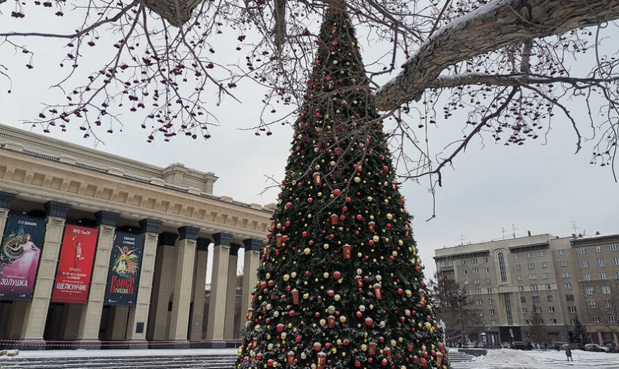 Главную елку Новосибирска поставили на площади Ленина