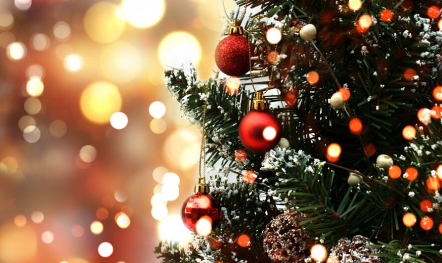 Главной новогодней елке Новосибирска осталось жить 2 недели