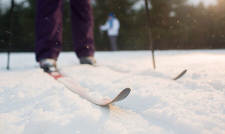 Массовая лыжная гонка «Лыжня России» пройдет в Новосибирской области