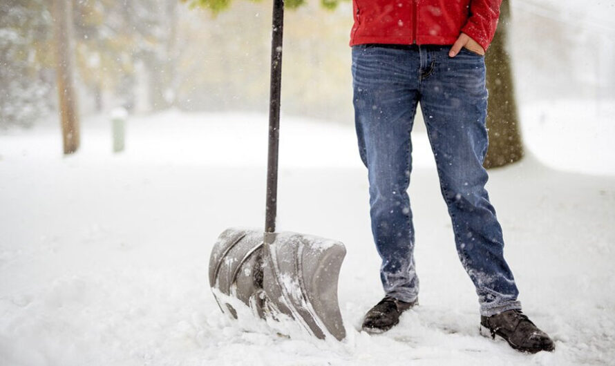 И. о. мэра Новосибирска раскритиковал районные власти за плохую уборку снега