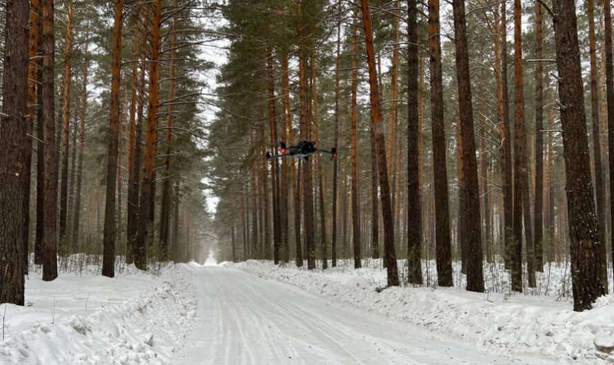 Дроны начали охотиться за нарушителями в лесах Новосибирской области