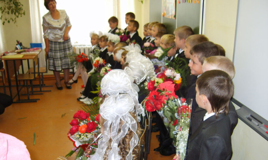 Новосибирские родители за 5 минут подали более тысячи заявлений о записи в 1-й класс