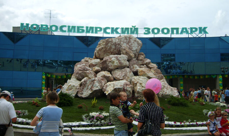 Новосибирский зоопарк перешел на летний режим работы