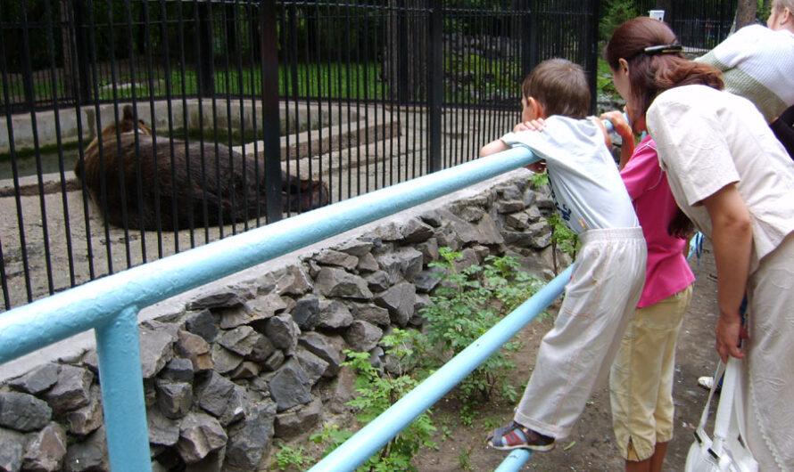 Новосибирский зоопарк продлил часы своей работы