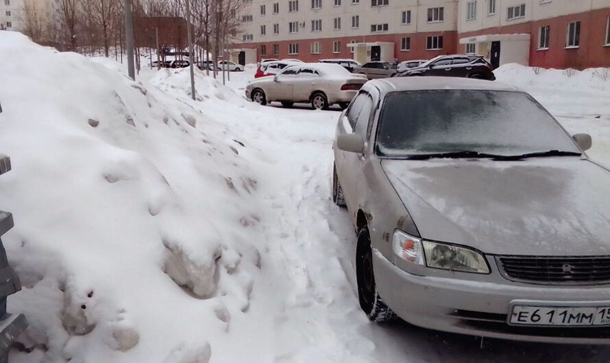 К наступлению зимы новосибирские улицы очистят от брошенных автомобилей