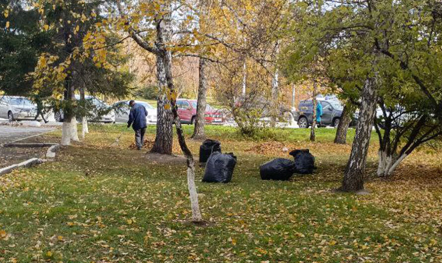 Почти 100 тысяч человек вышли на общегородской субботник в Новосибирске