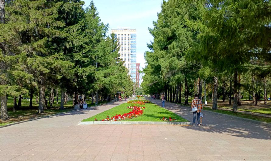 Три новосибирских сквера вырвались в лидеры по голосованию для благоустройства