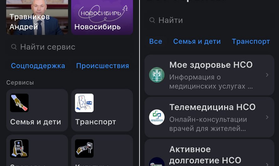 Единую витрину сервисов «МАКС» запустили в Новосибирской области