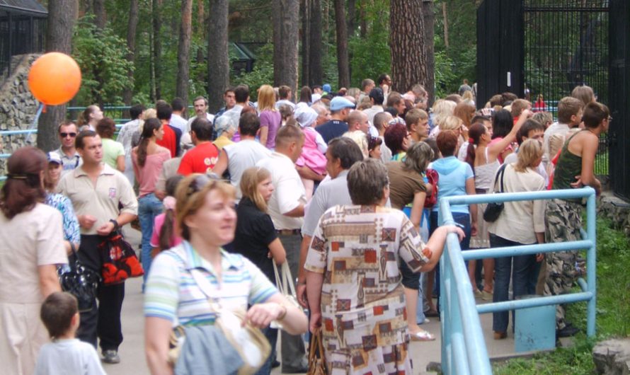 Бесплатный вход для пенсионеров введет Новосибирский зоопарк